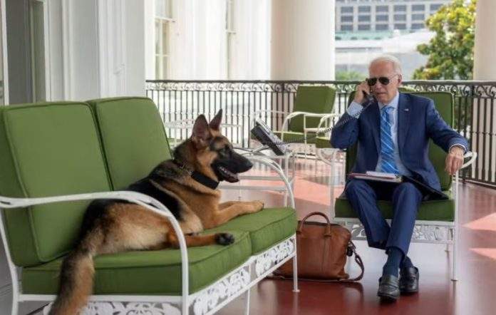 
          Bidenov pas ujeo još jednog agenta Tajne službe, ovo je 11. put        