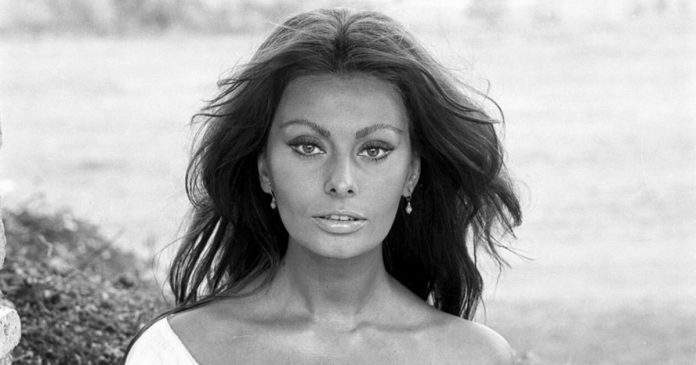 Sophia Loren