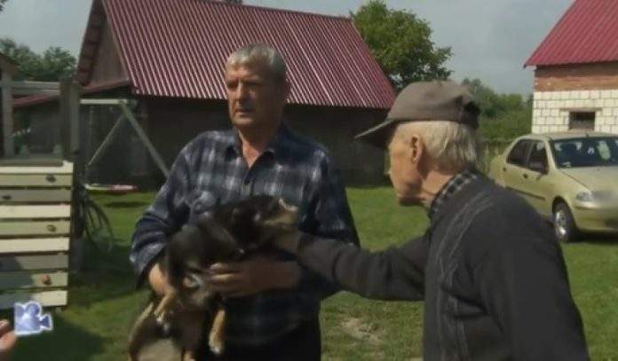 
          Poljaci masovno iskazuju podršku psu koji je optužen da je pojeo komšiji 100 glavica kupusa        