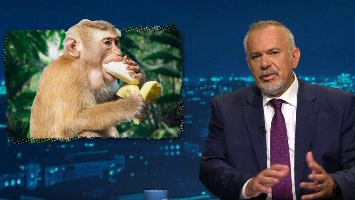 Šprajc: Mi smo sad dvije banane Hrvatske, Plenković živi u jednoj banani, a Milanović u drugoj