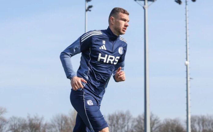 Džeko na sjajan način započeo sezonu: Pogodio za Schalke u Kupu Njemačke