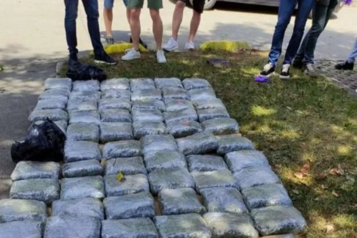 Ispitat će ga tužiteljicaPoznato ko je uhapšen u Sarajevu sa 73 kilograma kanabisa, predat u Tužilaštvo