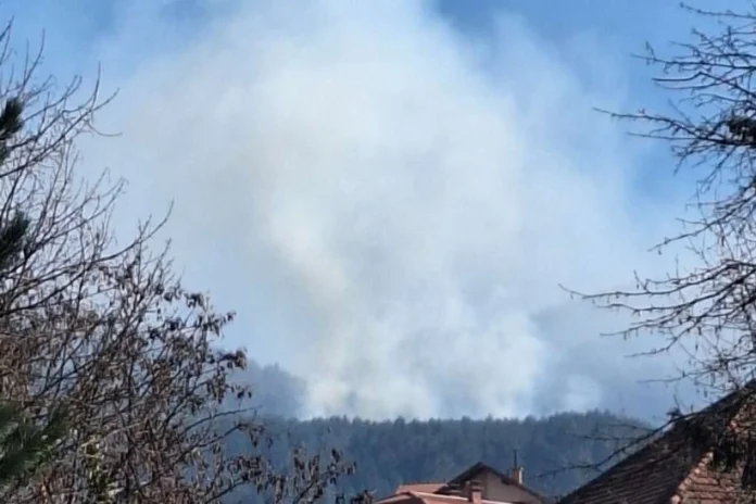 Na području Istočnog SarajevaPožar u blizini Doma Jure Franko na Trebeviću