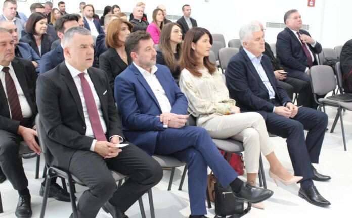 Šta povezuje HDZ, Južnu interkonekciju i lobiranje u SAD-u za “ravnopravan položaj Hrvata u BiH”?