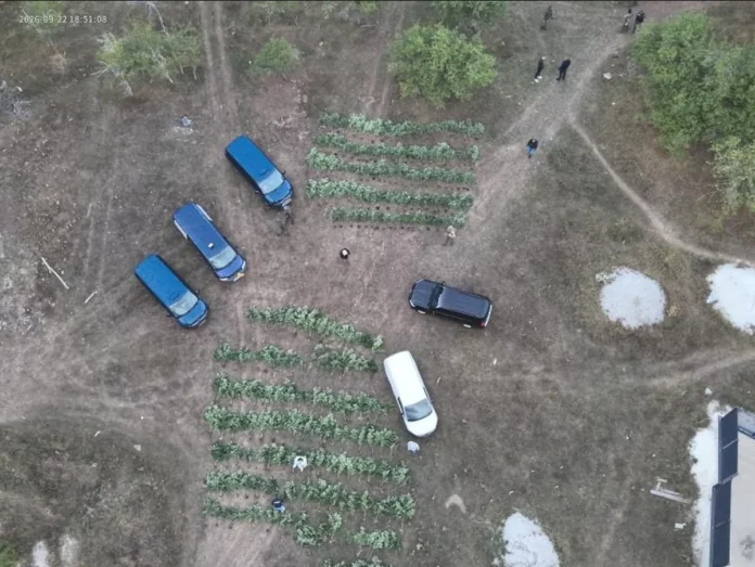 Dilanje drogomMUP KS saopćio detalje velike akcije "Pantera", Fišić i ostali danas će biti predati Tužilaštvu