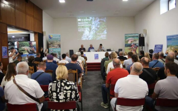 Godinu dana od katastrofe na Neretvi: Stručnjaci dokazali povezanost rada HE Ulog i pomora ribe