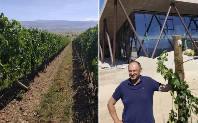 Lijepa priča iz BiH: Niko nije vjerovao da će uspjeti, a on stvorio najneobičniji vinograd u Europi