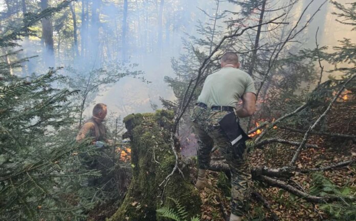 Požari širom BiH: Oružane snage i dalje na terenu, Bihać i Tomislavgrad najugroženiji