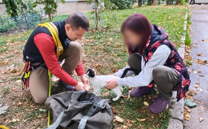 Svaka čast, ljudi: GSS Zenica spasio macu koja je 3 dana bila na drvetu