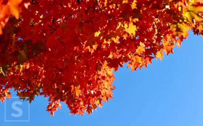 Temperatura danas do 15 stepeni: Objavljena prognoza do nedjelje, moglo bi biti kiše