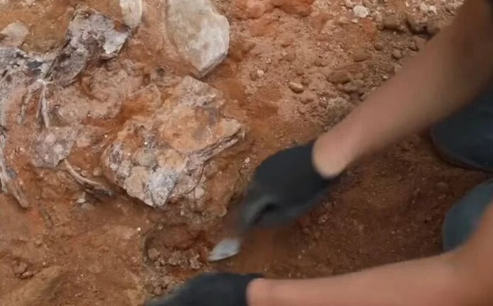 Veliko otkriće u BiH: Arheolozi otkrili netaknute grobove iz 4. stoljeća, jedan detalj sve zbunio